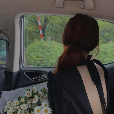 不死者之王剧场版圣王国篇